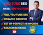 do best your youtube video SEO expert fast rankingand and channel manager