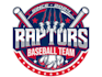 design a professional baseball logo
