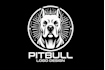 do creative and good looking bulldog logo design