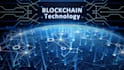 nft staking website,token swap website,dapp,launchpad swap,ico defi website, dex