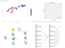 do validity and reliability analysis of questionnaire, scale