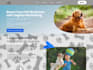 design,redesign,pet website or pet grooming website design for you