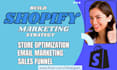 build high converting shopify salesfunnel for maximum profits