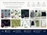 design exclusive seamless patterns for fabrics and accessories