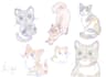 draw a portrait of your pet
