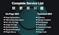 do expert on page SEO and technical optimization