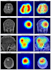 do machine learning, deep learning, computer vision projects using python