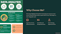 do professional data analysis with charts and reports