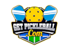 create high quality and beautiful pickleball logo  design