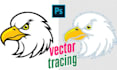 do vector tracing adobe illustrator logo art  image illustration