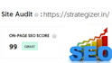 we fix wordpress SEO issues fast and smart