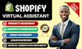 be shopify virtual assistant social media manager,store rank