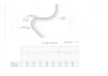 road design in autodesk civil 3d