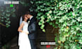 do hollywood level colorgrade and color correction