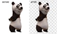 do remove background, transparent, cutout  ,clipping path