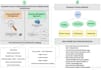 create semantic SEO content brief and article outline with writing rules