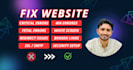 fix wordpress errors like 404, 500, fatal and critical bugs