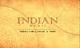 record high quality indian classical instruments