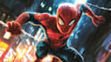 draw comic book and custom illustrations