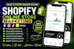 promote shopify store, ecommerce dropshipping marketing to boost shopify sales
