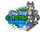 create creative and good looking wolf and cleaning logo design