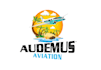 design outstanding airplane logo