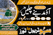 design social posts and flyers