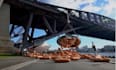 viral cgi video ads, cgi fooh, vfx video ads ,cgi art,vfx artist