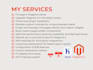 do e commerce development as certified magento 2 expert