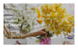 design flower shopify store flower bouquest website florist store flower store