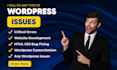 be expert in debugging wordpress errors and customizing your website