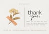 design amazon thank you card, product insert, package insert