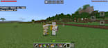 make you a minecraft skin