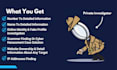 do professional background check people search and osint investigation