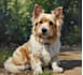do custom pet portrait pet illustration or dog portrait