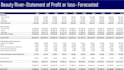 prepare financial statements income statement profit or loss and balance sheet