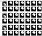 do computer vision, image processing, opencv and deep learning in python