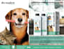 design, branding, and packaging design