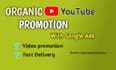 do organic youtube video promotion with google ads