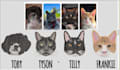 digitize your designs in one an hour
