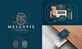 create a modern luxury logo design for your business
