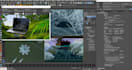 help you with anything related to 3ds max