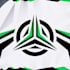 design stunning custom logo