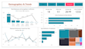 create professional power bi dashboard with dax and insights