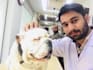 write pet animals blog posts and articles