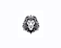 design unique and professional lion head logo within a sort time