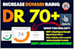 boost domain rating DR 70, da pa 50, tf cf 30