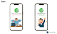 help you in whatsapp any problem