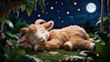 design peaceful and gentle lullaby videos for your channel