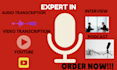 create verbatim and clean read transcript for journalist and researchers